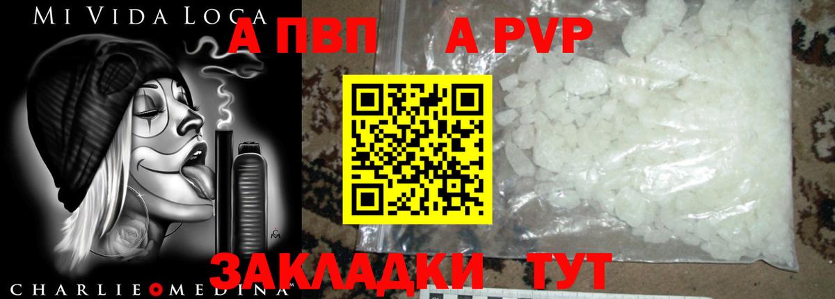Alfa_PVP СК Владивосток