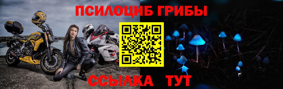 Псилоцибиновые грибы прущие грибы Владивосток